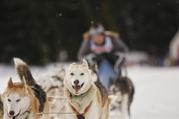 Lenzerheide 2013